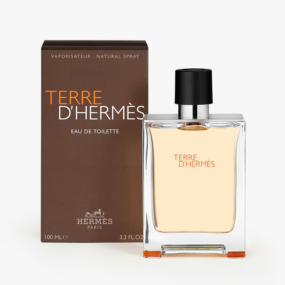TERRE D'HERMÈS eau de toilette spray 100 ml - Image 1